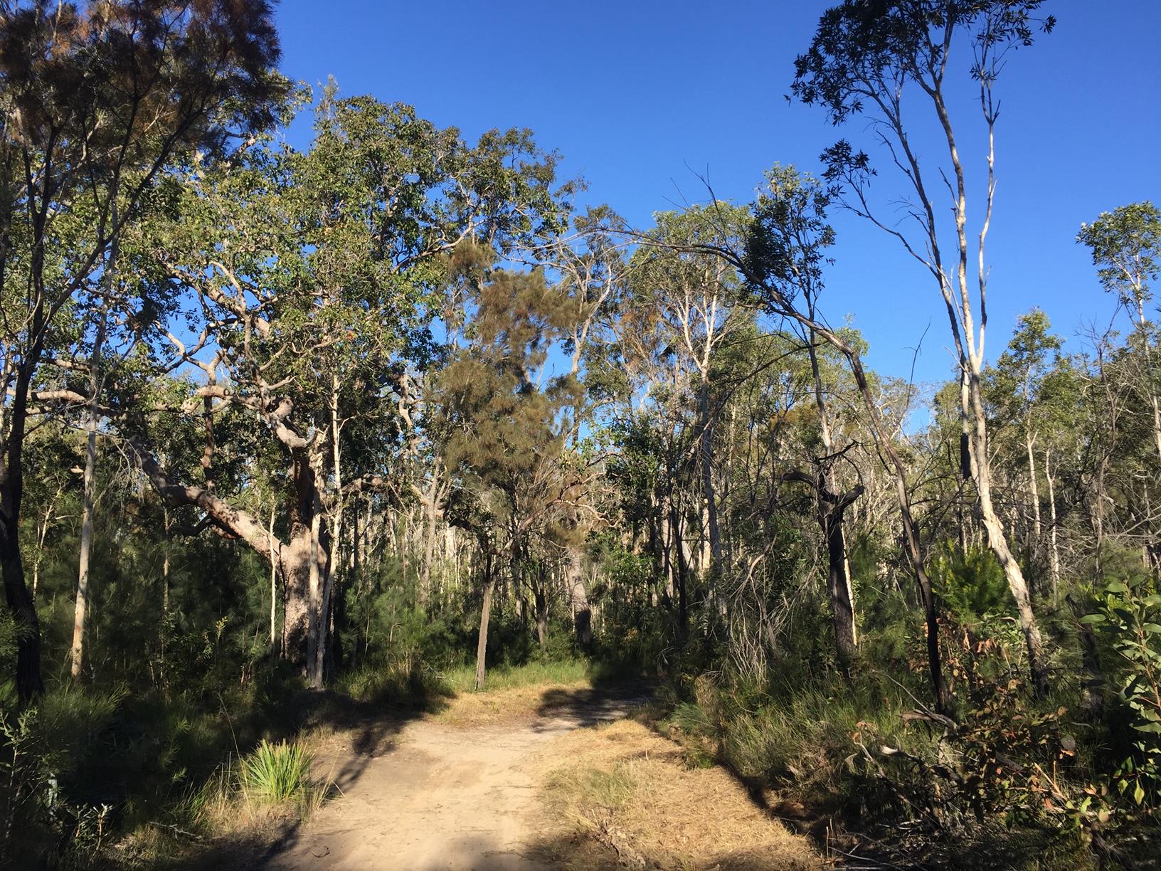 Mooloolah River National Park Mooloolah River Section Adventure